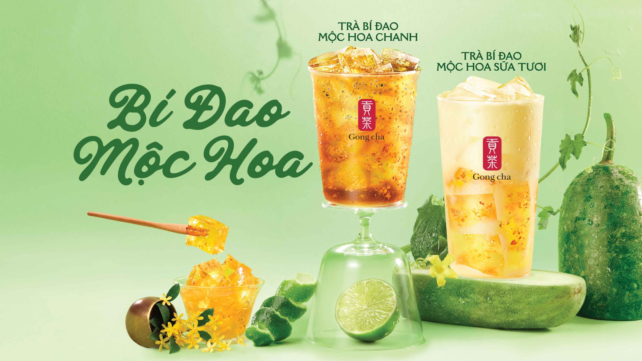 DANH SÁCH CÁC CỬA HÀNG GONG CHA GẦN BẠN TRẢI DÀI KHẮP CÁC TỈNH THÀNH CẢ NƯỚC